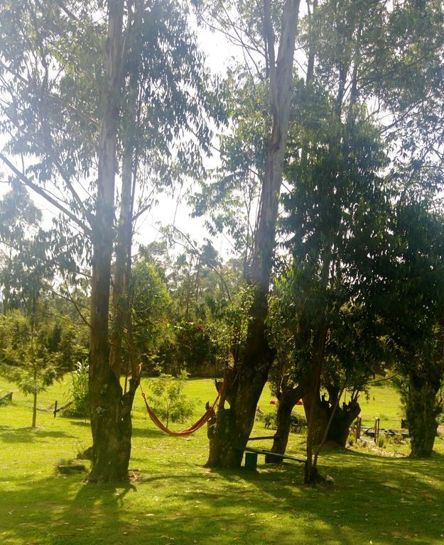 Kalitusi Nature Resort Fort Portal Eksteriør billede