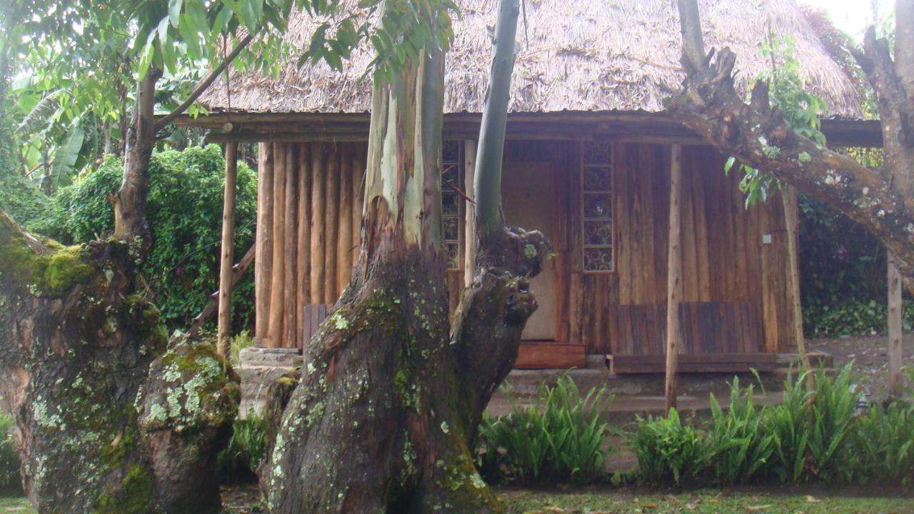 Kalitusi Nature Resort Fort Portal Eksteriør billede